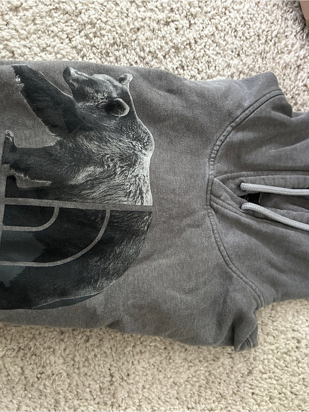 The North Face Grey Bear Graphic Zip-Up CV Hoodie